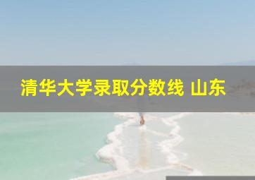 清华大学录取分数线 山东